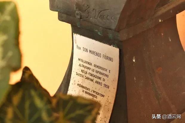 世界醉强合作社是怎样炼成的