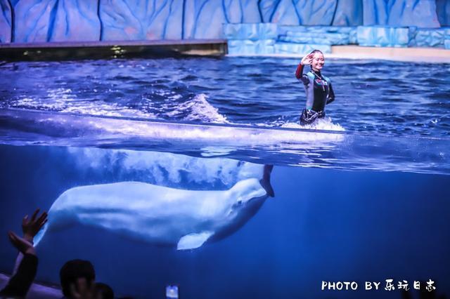 来珠海旅游必打卡的景点,春节珠海亲子游玩地方推荐
