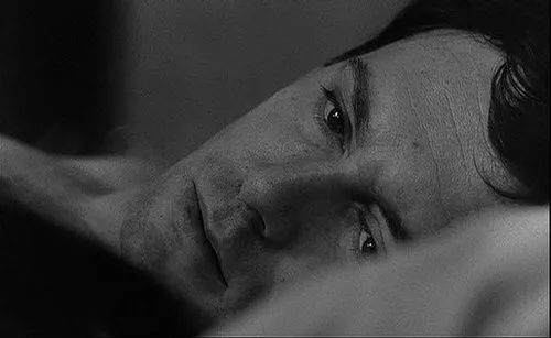 法国新浪潮恋人：他用电影为她书写情书，又用电影同她告别