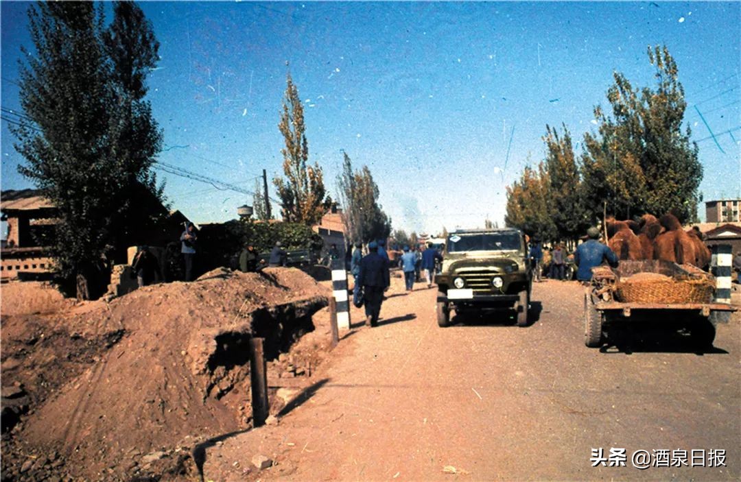 壮丽70年奋斗新时代视频,壮丽70年奋斗新时代在哪播放