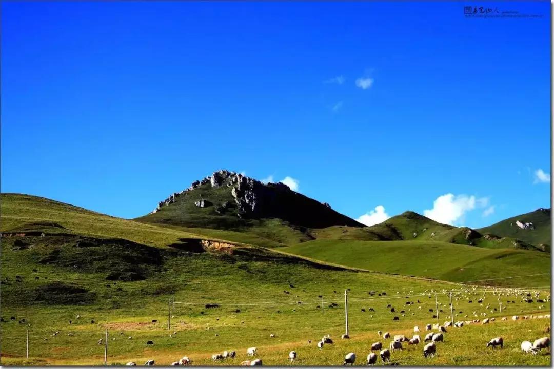 描写甘肃的爆火文章,一篇文章了解甘肃