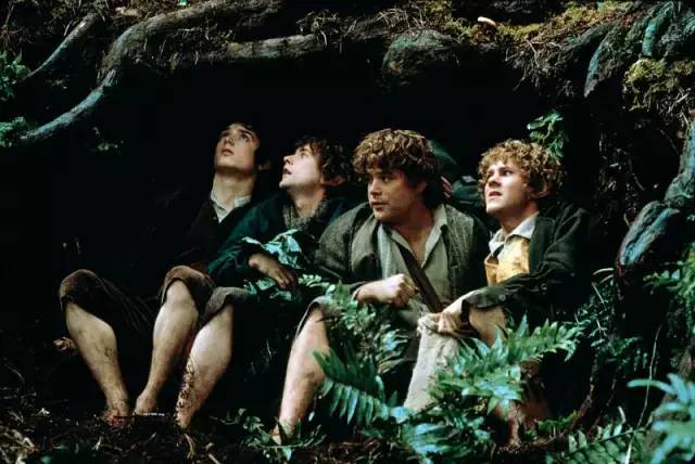 8千字，全面深入《指环王》三部曲