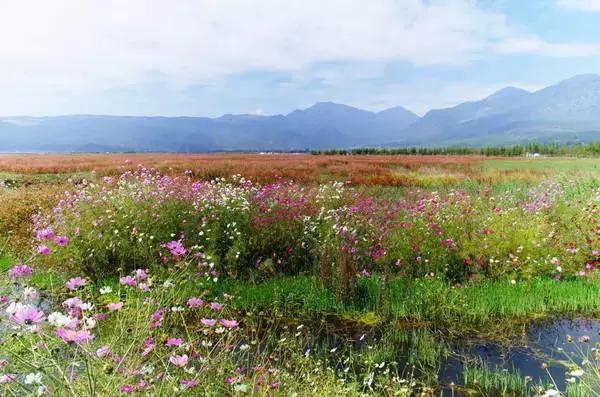 拉市海最快攻略,去拉市海应该怎么玩