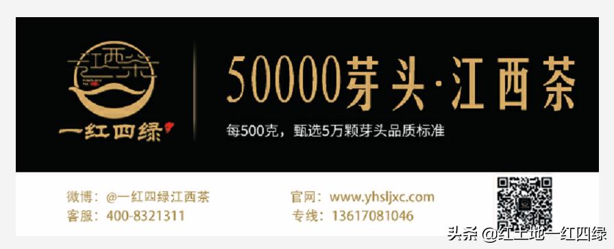 庐山云雾解读,庐山云雾短文图片