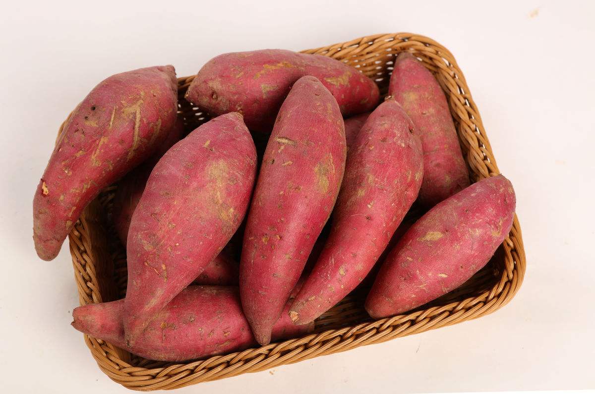 沧州特产排行榜前十名,沧州必买的十大特产