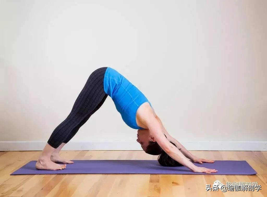 练瑜伽怎么练腿才能伸直,怎样练瑜伽可以劈叉