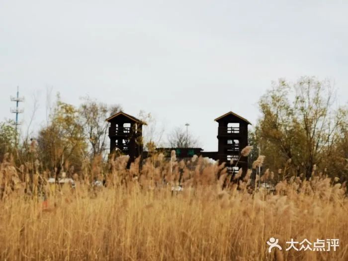 北京可以带宠物好玩的地方,北京宠物公园