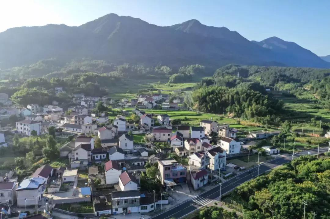 我在十八线小村当大V：一年网购金额超全国99.9%的人