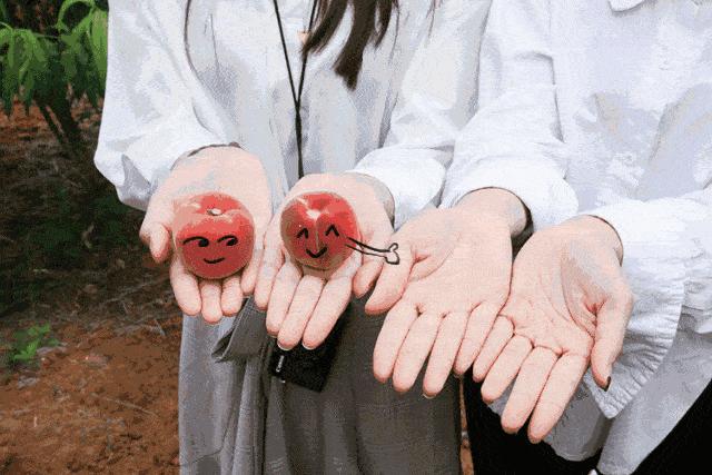 酵母小苏打食用碱泡打粉区别,酵母泡打粉膨松剂小苏打食用碱