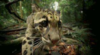 这6部电影足以秒杀大部分电影,十部必看旅行纪录片人文纪录片