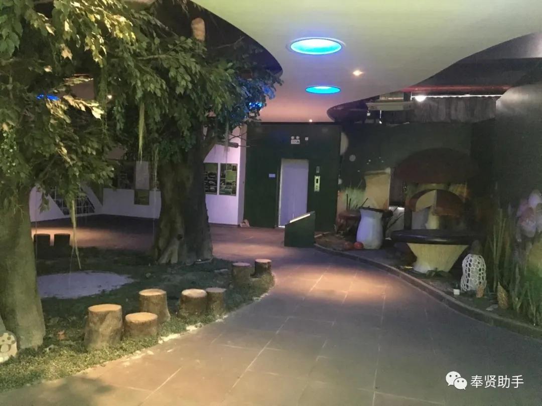 奉贤区南桥镇旅游景点,上海奉贤景点推荐一日游最佳路线