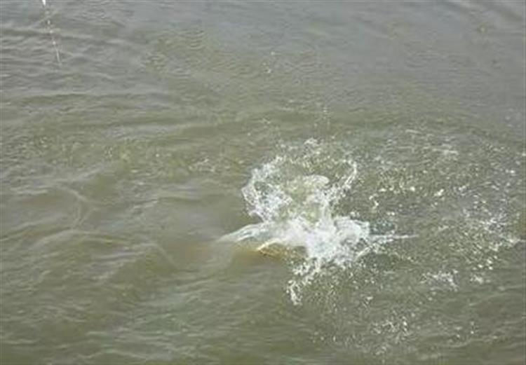 有鱼上钩却总脱钩，问题出在哪？