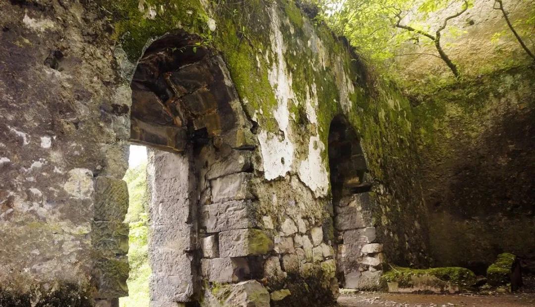 瀹滃鍙ら亾,涓夋睙椋庣墿