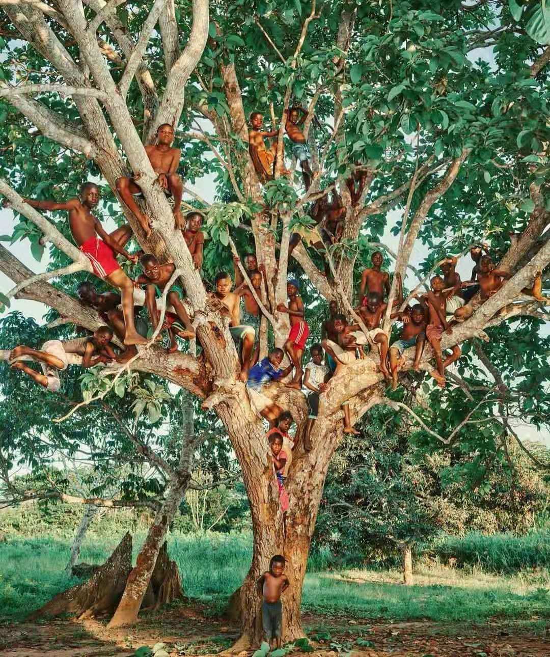 非洲值不值得去?我用5年驻外经历告诉你,去过非洲不遗憾