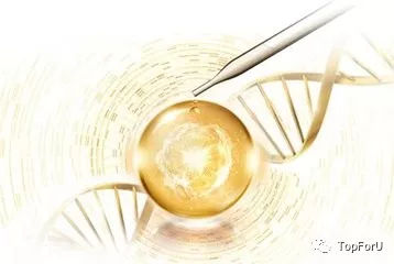 凡士林烟酰胺亮白身体乳,凡士林烟酰胺保湿嫩白身体乳测评