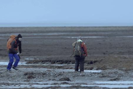 刘雯在陈伟霆家,刘雯陈伟霆家庭装修