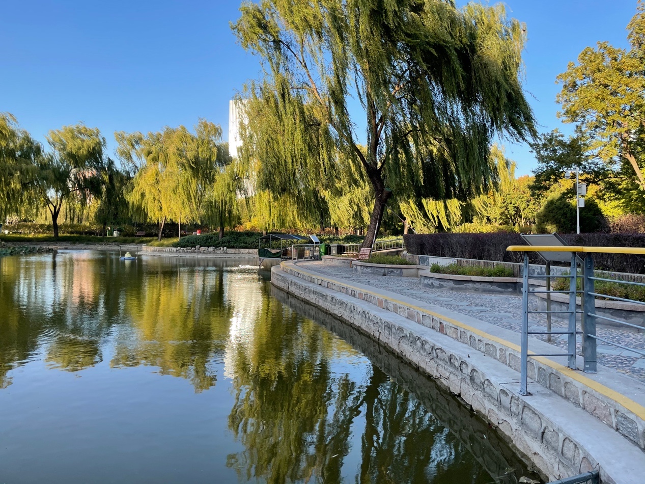 iphone12最佳入手时间下半年,iphone12性能更强拍摄更出色