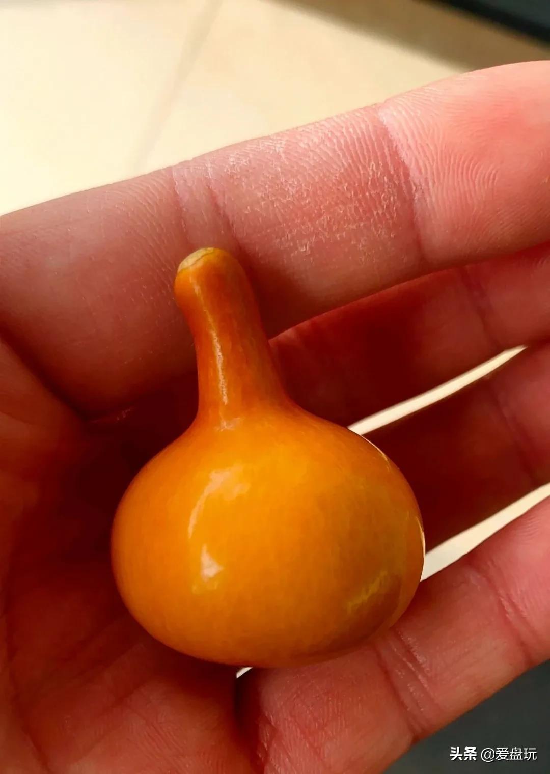 葫芦龙头折了还没断怎么补救,葫芦把龙头盘没了怎么办