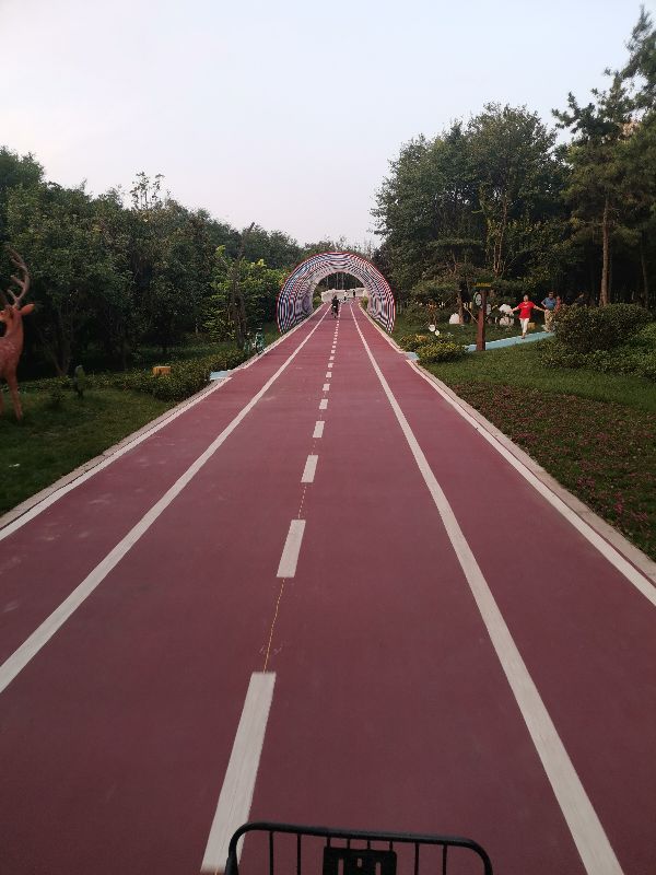 西安自行车专用道起点和终点,西安市首条自行车专用通勤道建设