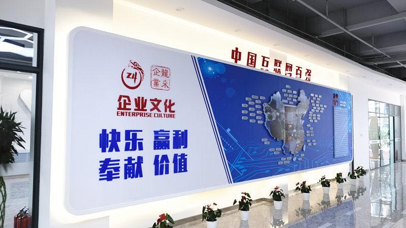 互联时代龙采告诉未来 ——龙采科技集团有限责任公司沈阳分公司