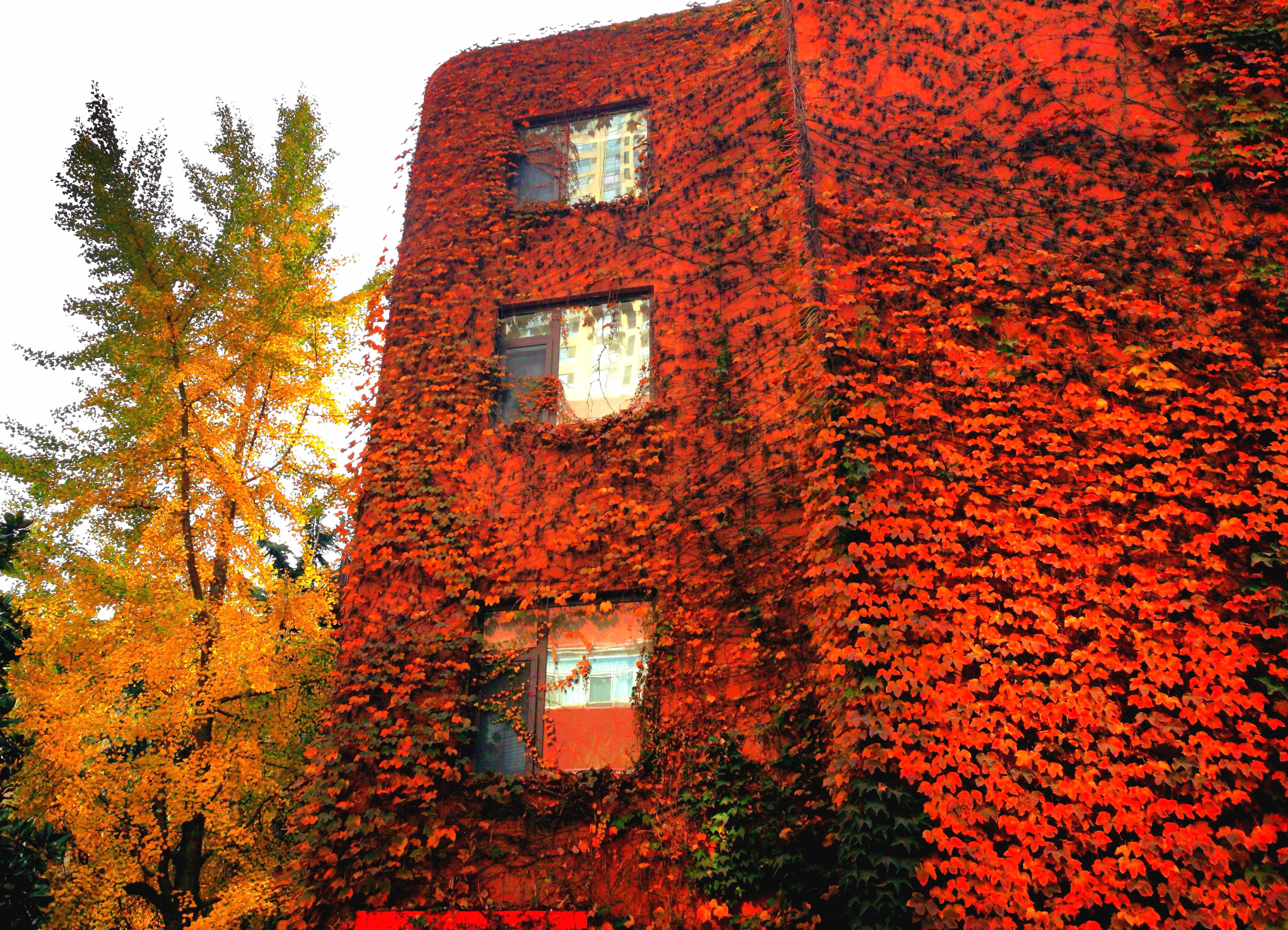 青岛与济南哪个更宜居,青岛为什么被称为海军城