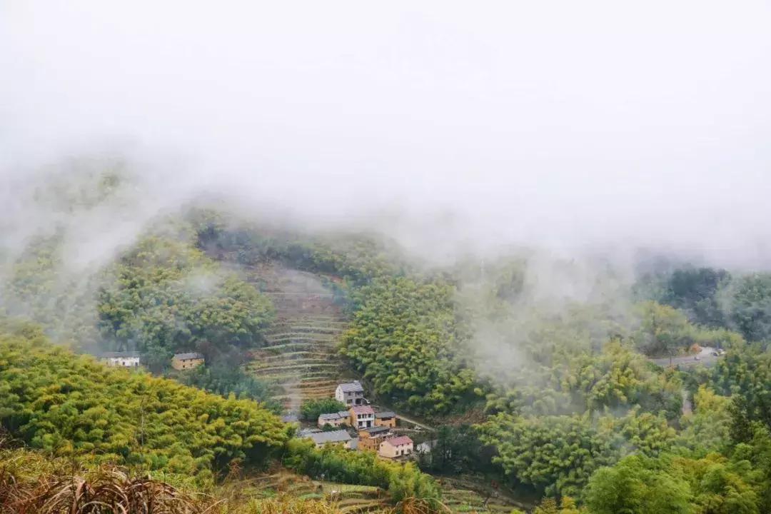 399元无边泳池,无边泳池抖音优惠团购