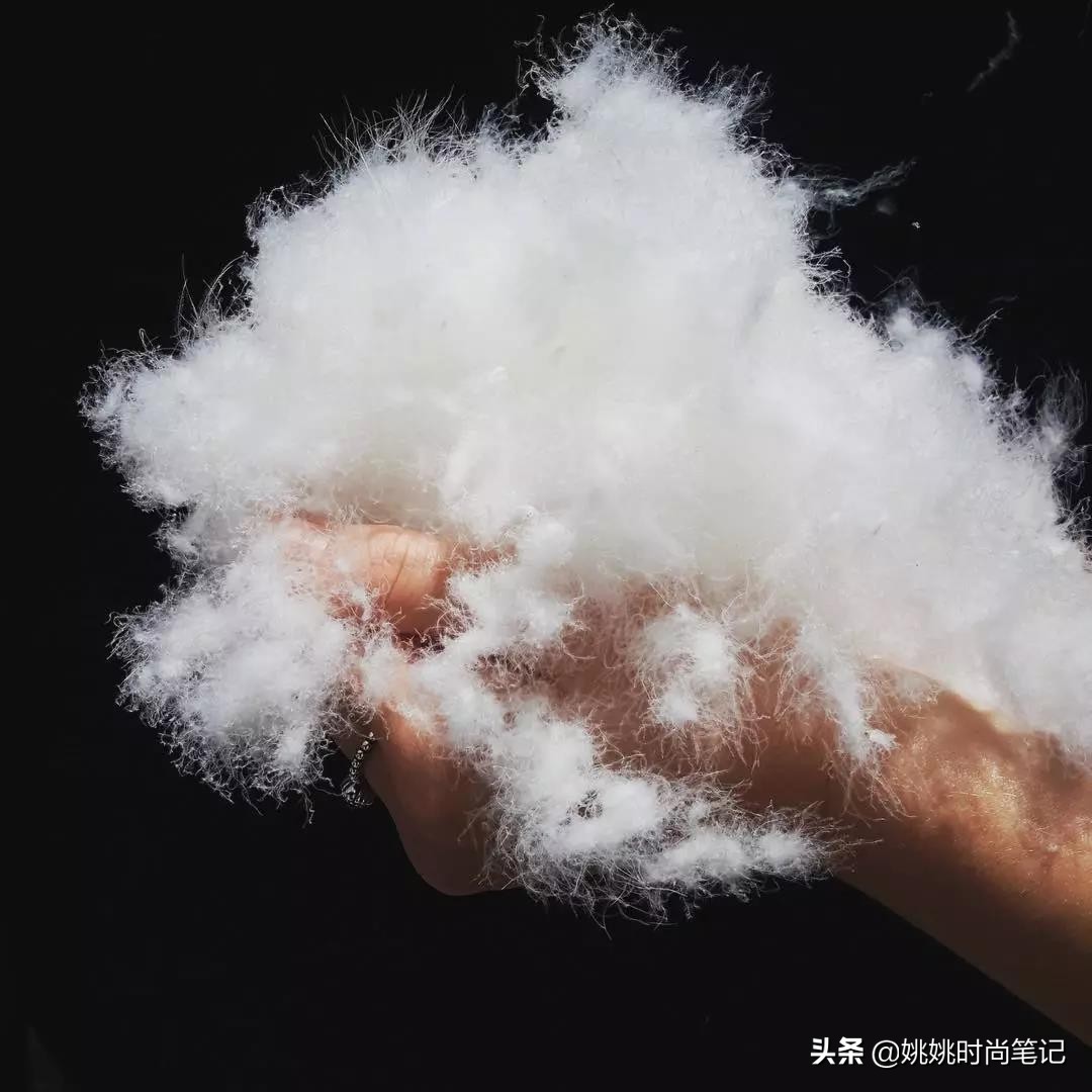 鸭绒或鹅绒充绒量多少暖和,是鸭绒服好还是鹅绒服好