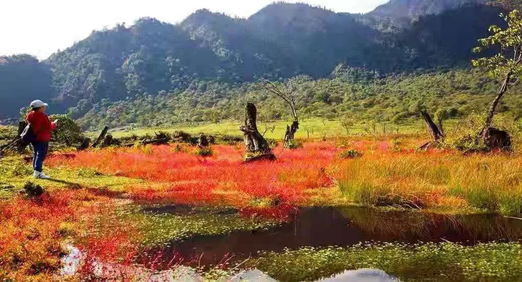 红了！黑竹沟迎来颜值巅峰，分分钟带你穿越五彩童话世界