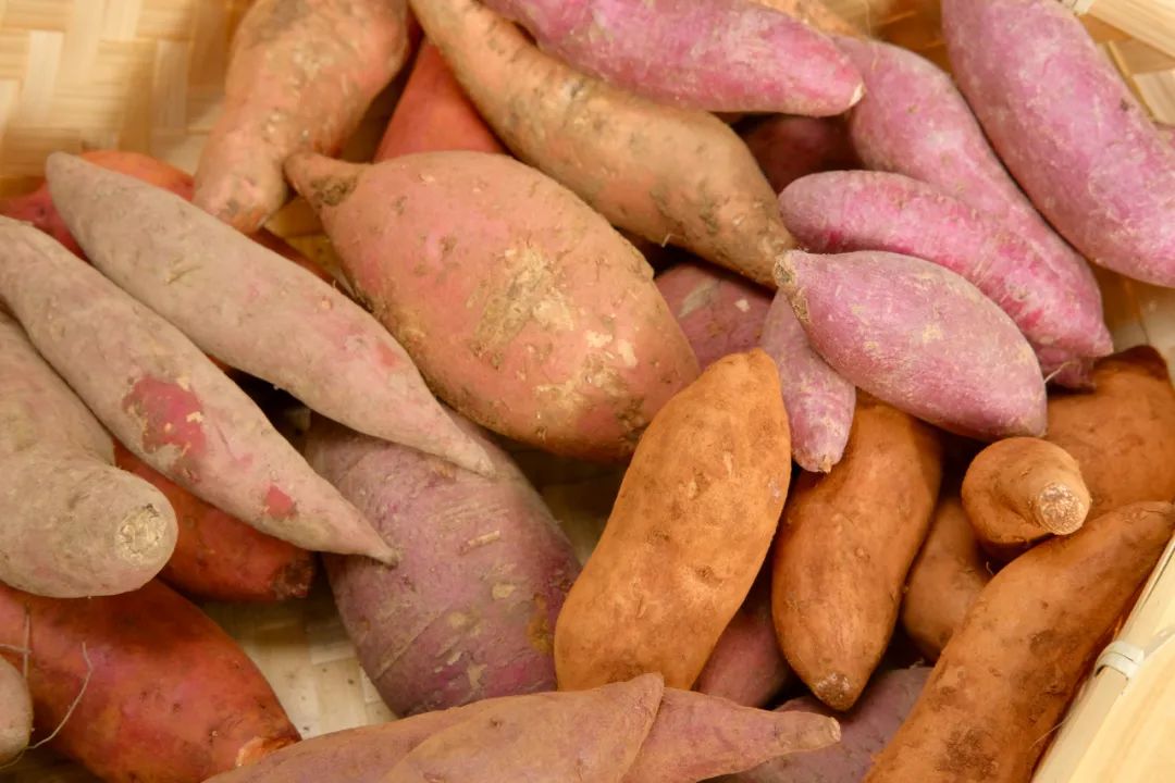 盒马大赛,盒马挑战赛