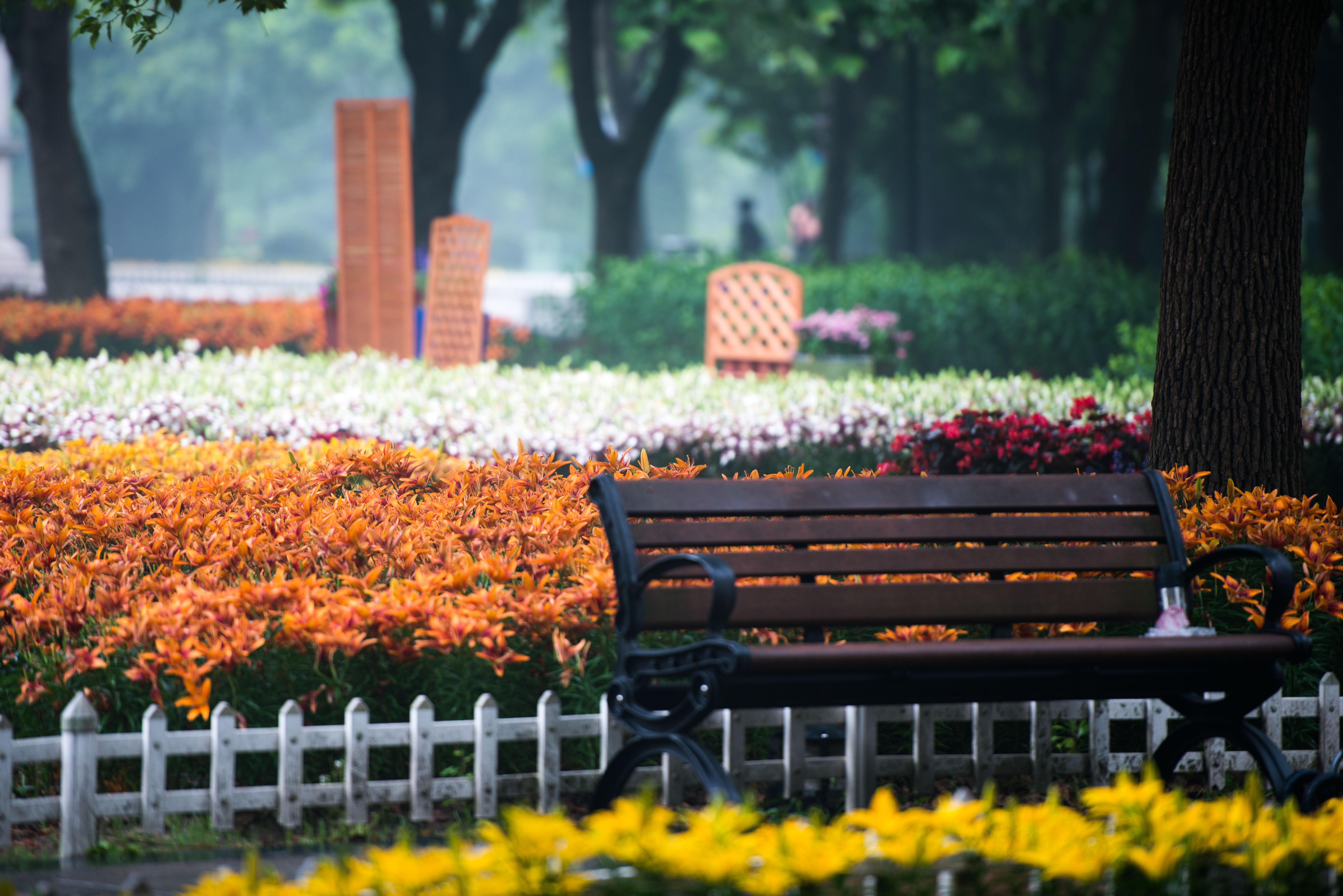 90年代无锡热门景点,如今不收门票依旧罕有人至,成为婚纱秘境