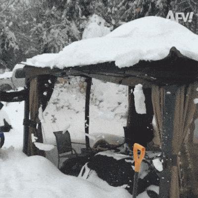 搞笑gif图来袭看一次笑一次,搞笑gif开心一刻