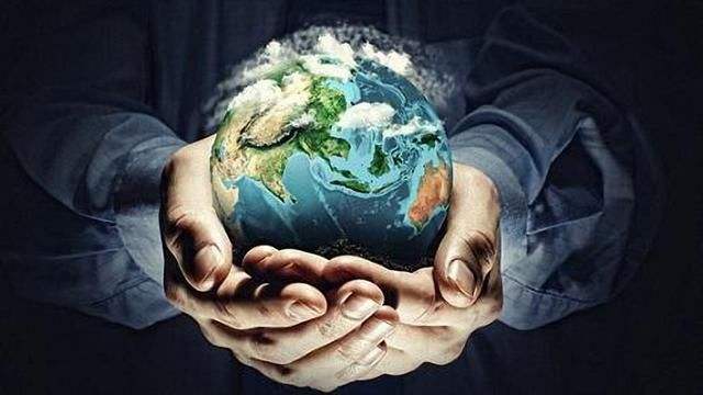 臭氧消毒对宠物有害吗,消毒碗柜的臭氧有害吗