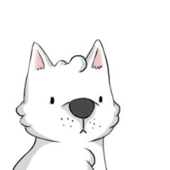 2005年青岛太平路学区房价格,青岛西海岸学区房房价多少一平