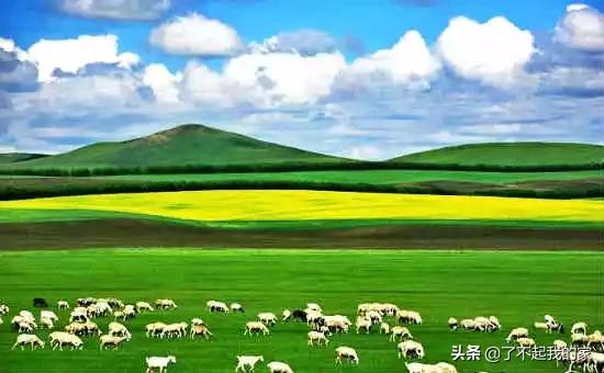 中国各地特产一览表(建议收藏)