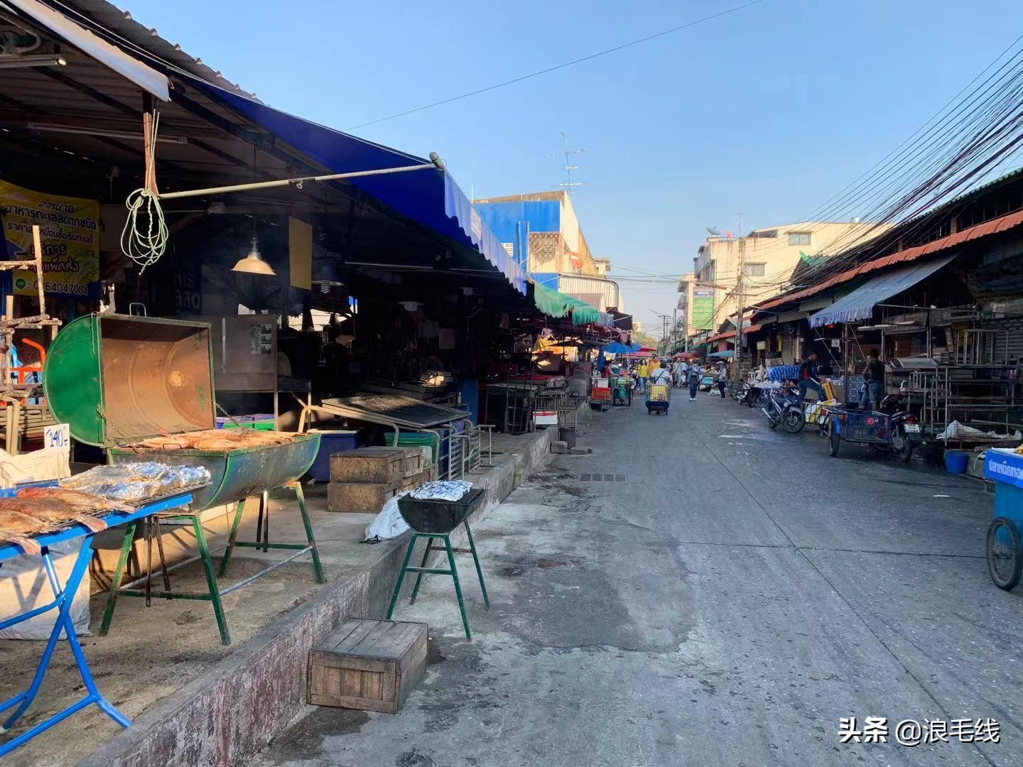 椰子5块钱7块钱,清迈榴莲价格