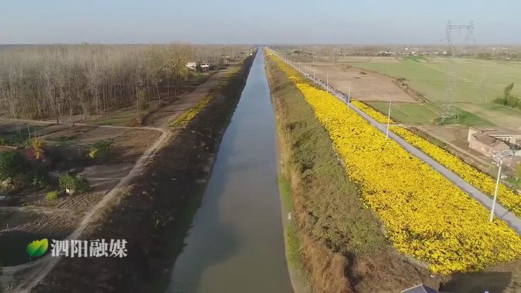 2019年泗阳县重点民生工程,农村重点民生实事