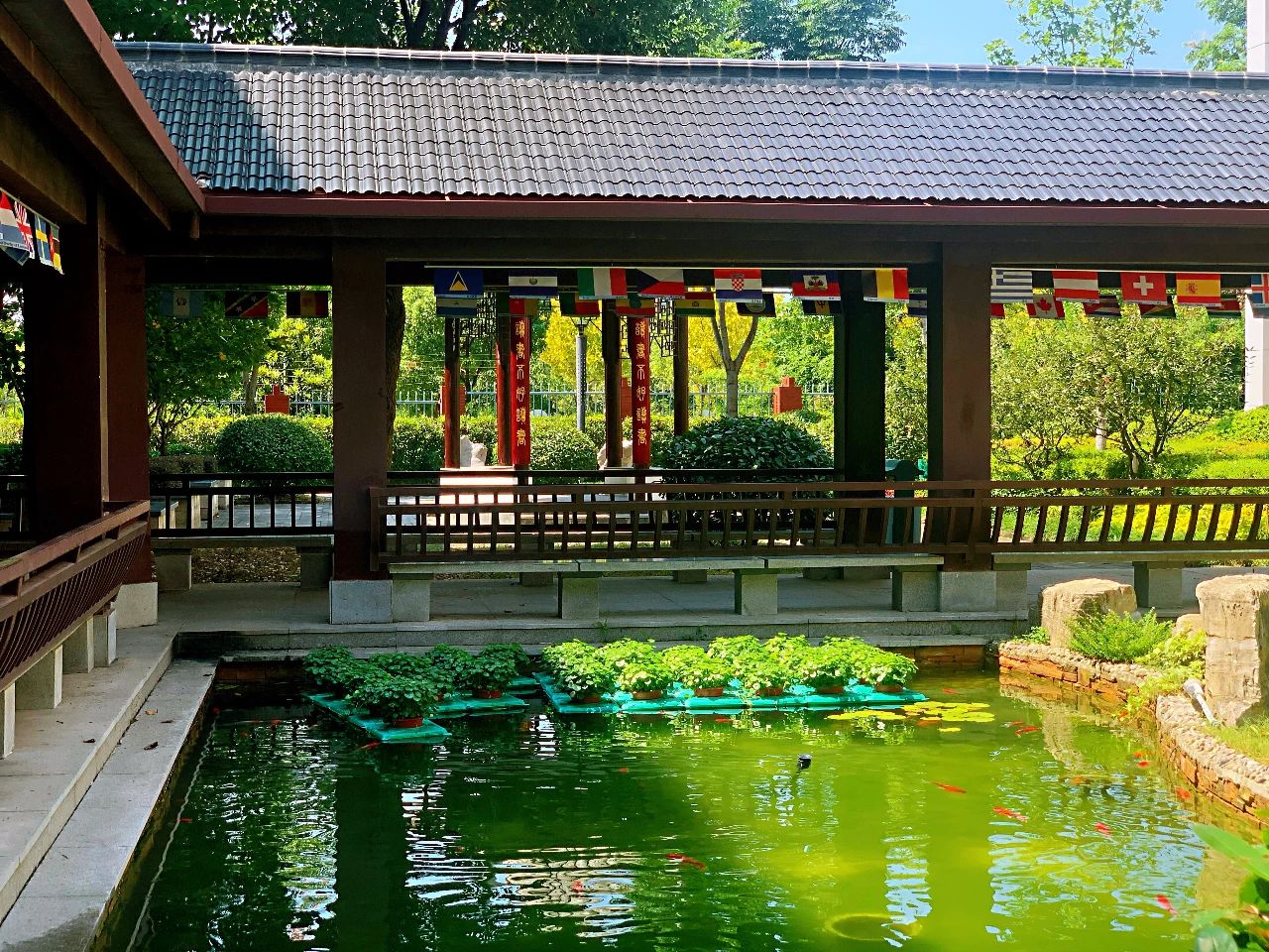 金中岱山教育集团,金中岱山东校区