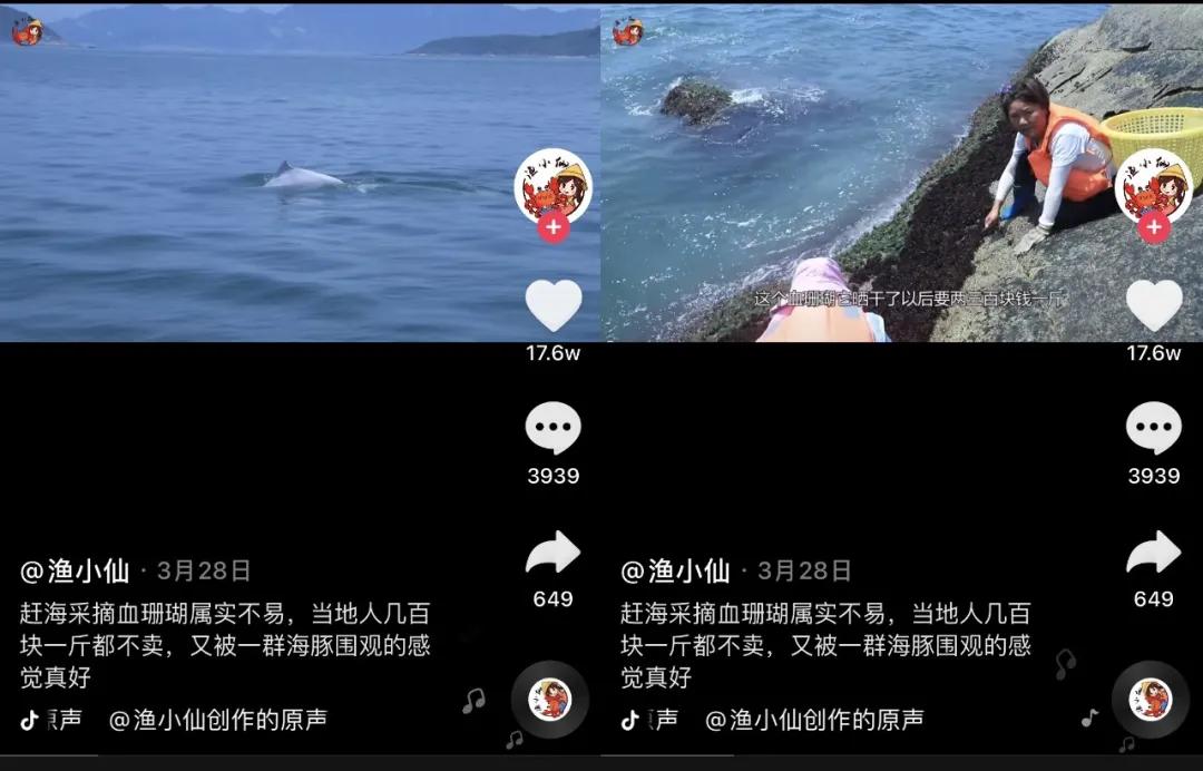 她辞职后在抖音直播赶海，两年获400万网友关注月销百万海鲜