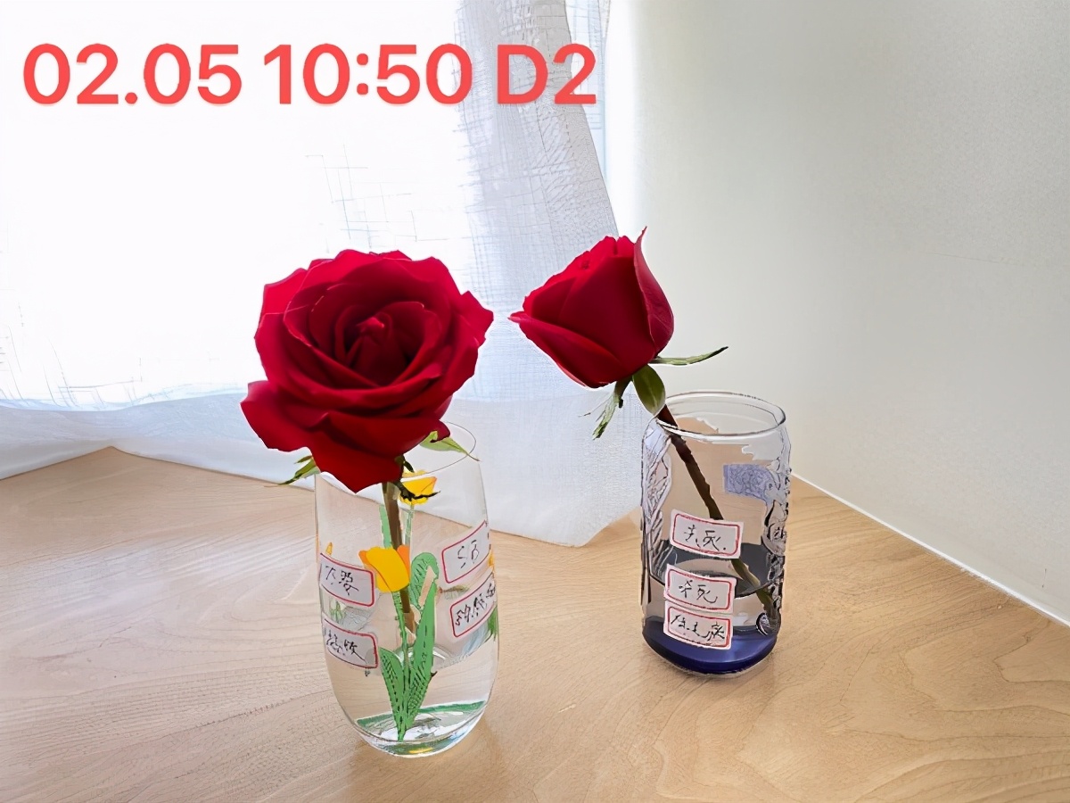 无形决定有形的说法,无形决定有形