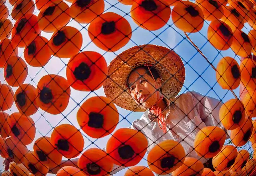 华为新影像大赛9张图,2019华为新影像大赛