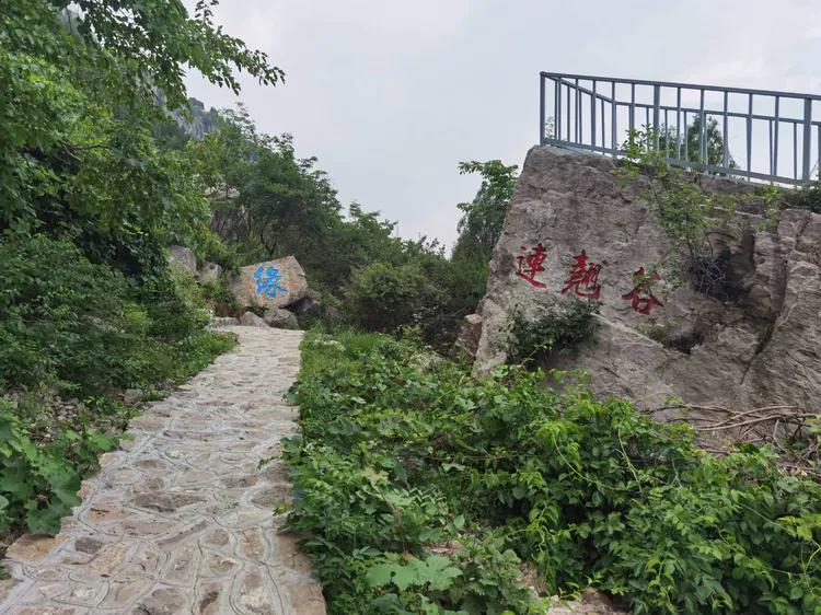 济南灵岩大佛山景区,济南灵岩寺大佛风景区