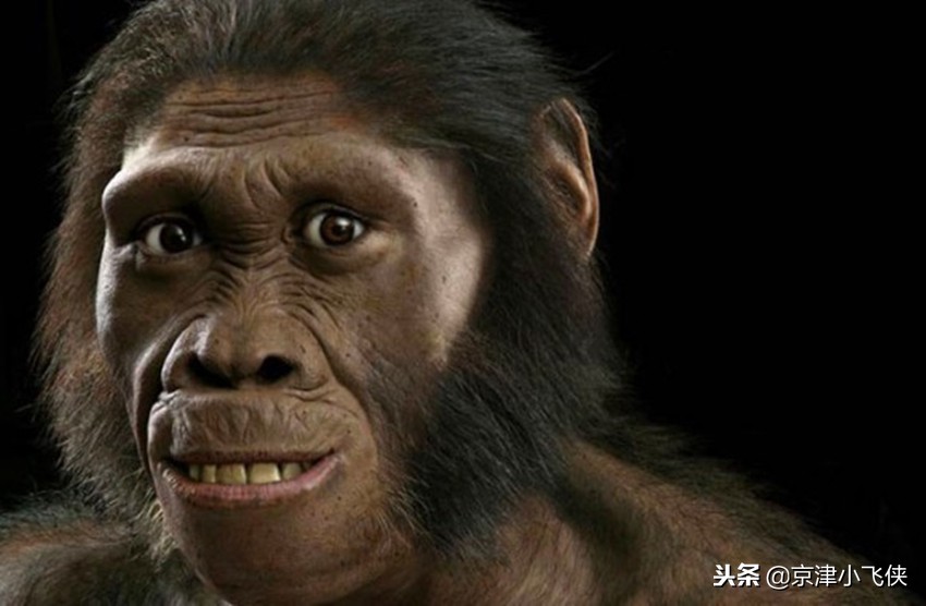 原始人喝脏水为什么不生病,原始人吃生肉喝凉水