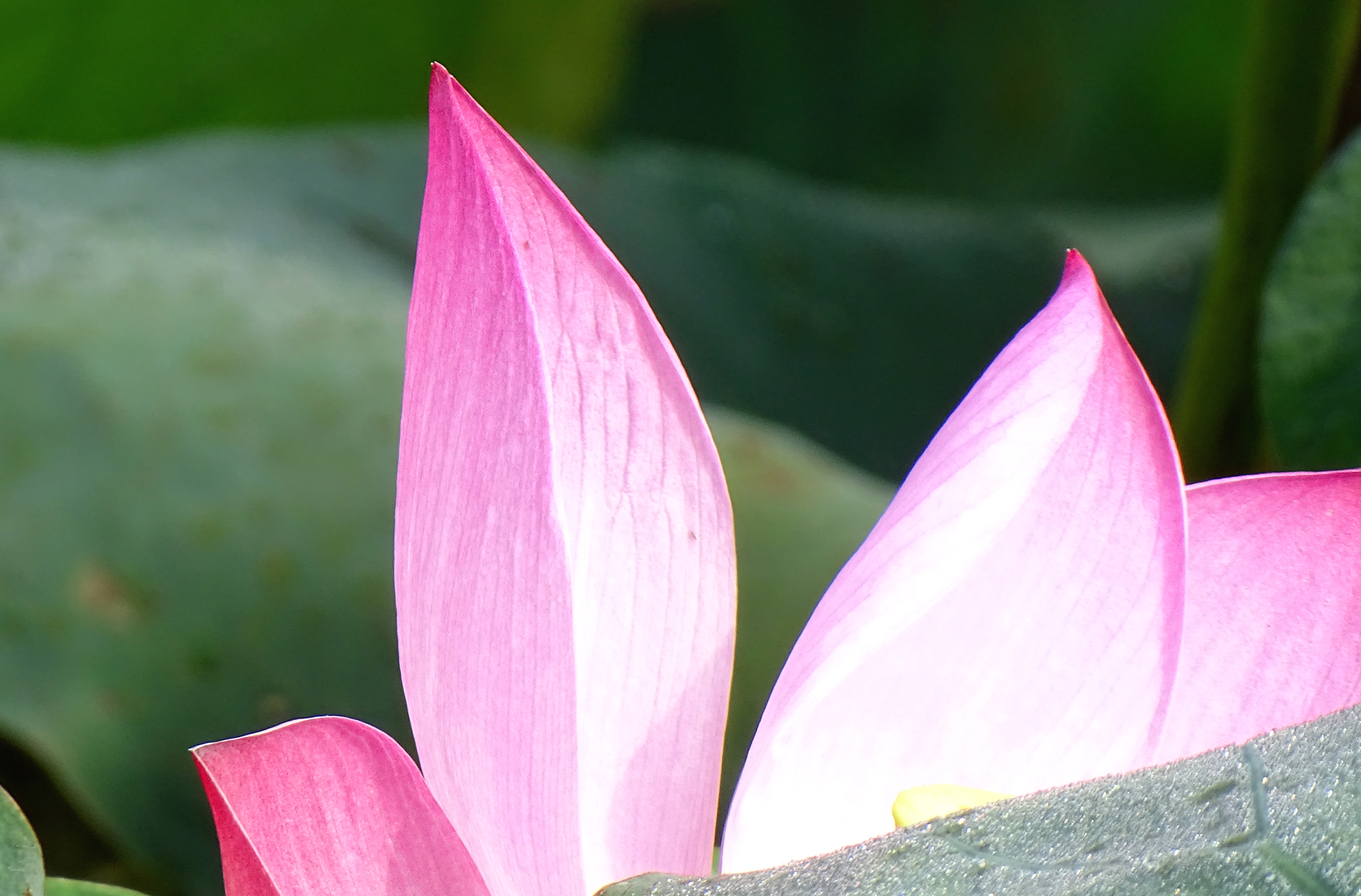 索尼dsc-hx400拍飞机效果,索尼dsc-hx400照片调色