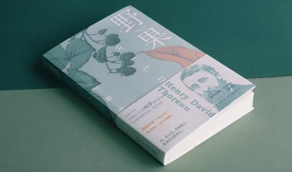 萤火创业笔记,萤火计划新消息