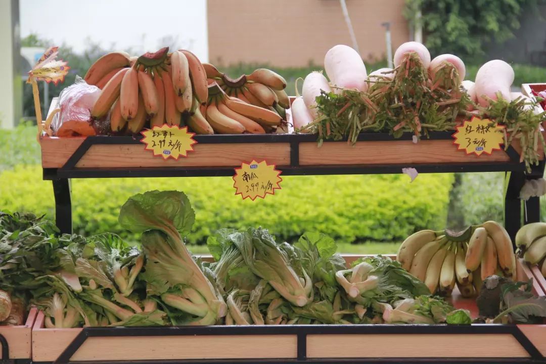 番禺|物业做“微商”卖菜,管家当“快递员”送菜,广碧这波操作获满屏点赞