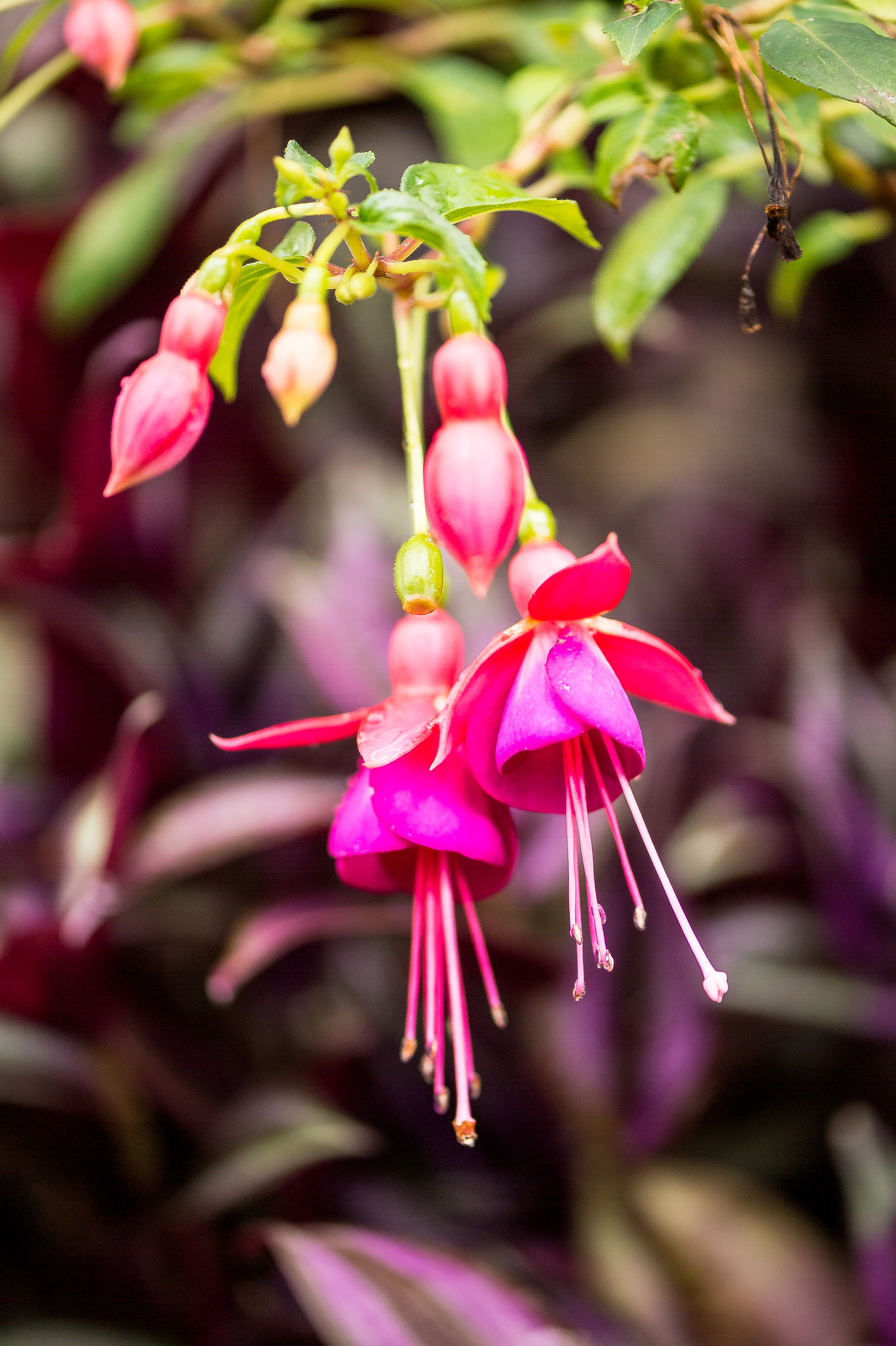 秋季川西摄影自驾游,川西七日自驾游攻略自由行