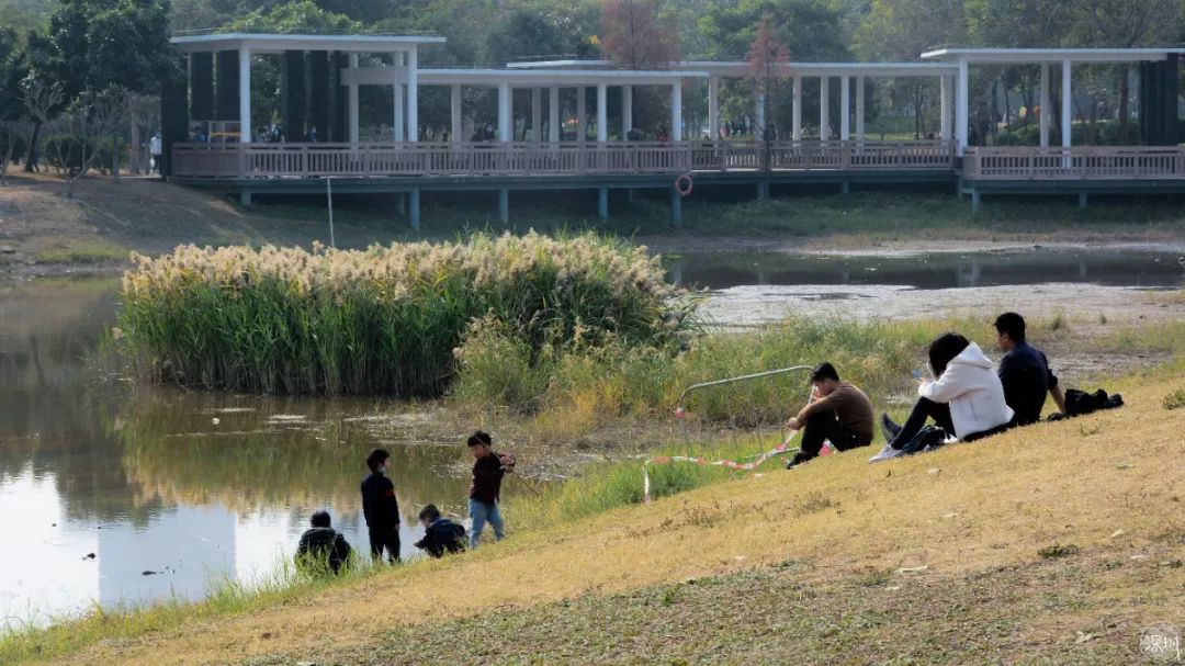 莲花山绿了没,莲花山红色景点有哪些