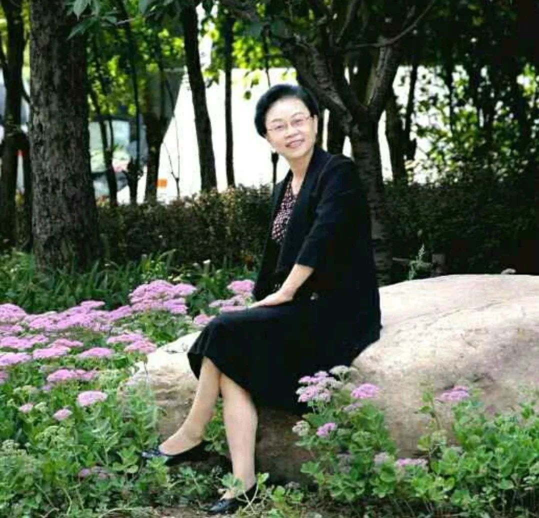 精品鉴赏图片,精品欣赏梅花