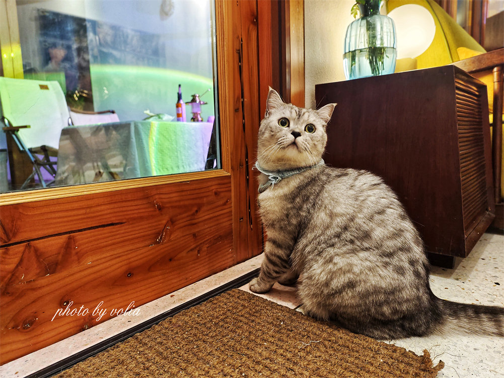 黑胶·旅人·酒|莫干山的月亮是橙色的