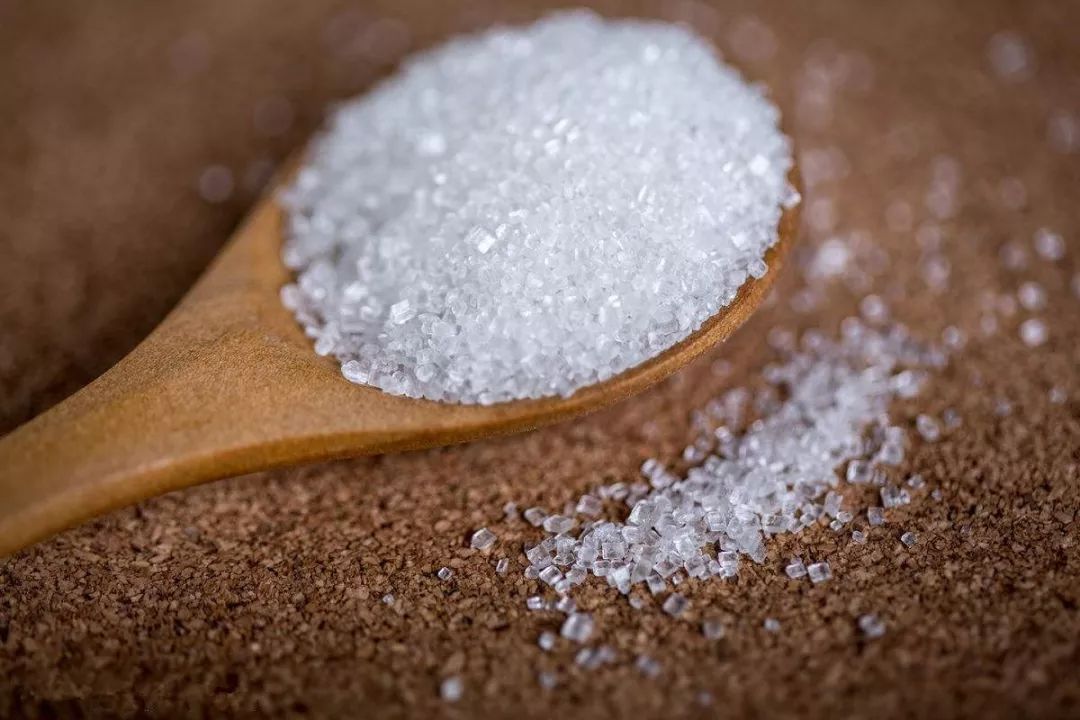 倪海厦讲白糖,猪油加白糖倪海厦